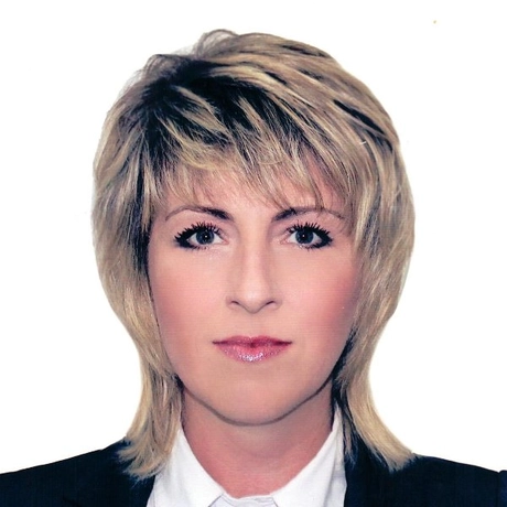 Изображение спикера