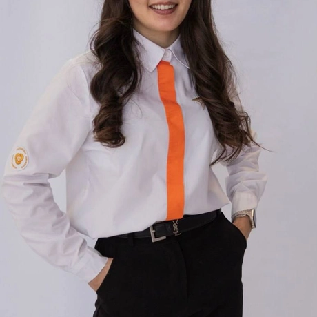 Изображение спикера